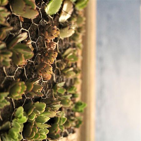 Pousada Habitat Marinho Imbituba  Ngoại thất bức ảnh