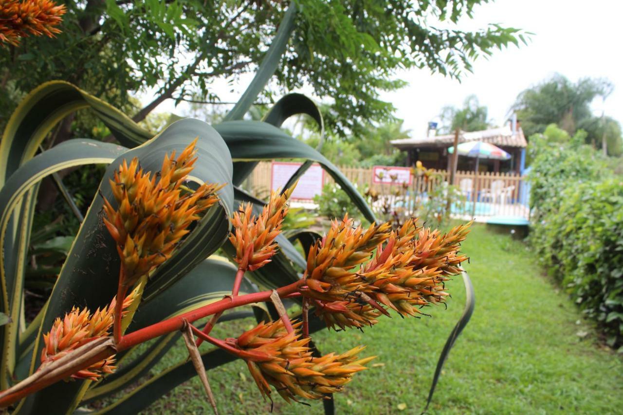 Pousada Habitat Marinho Imbituba  Ngoại thất bức ảnh