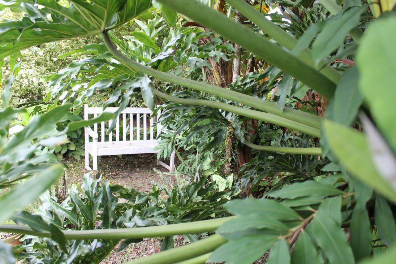 Pousada Habitat Marinho Imbituba  Ngoại thất bức ảnh