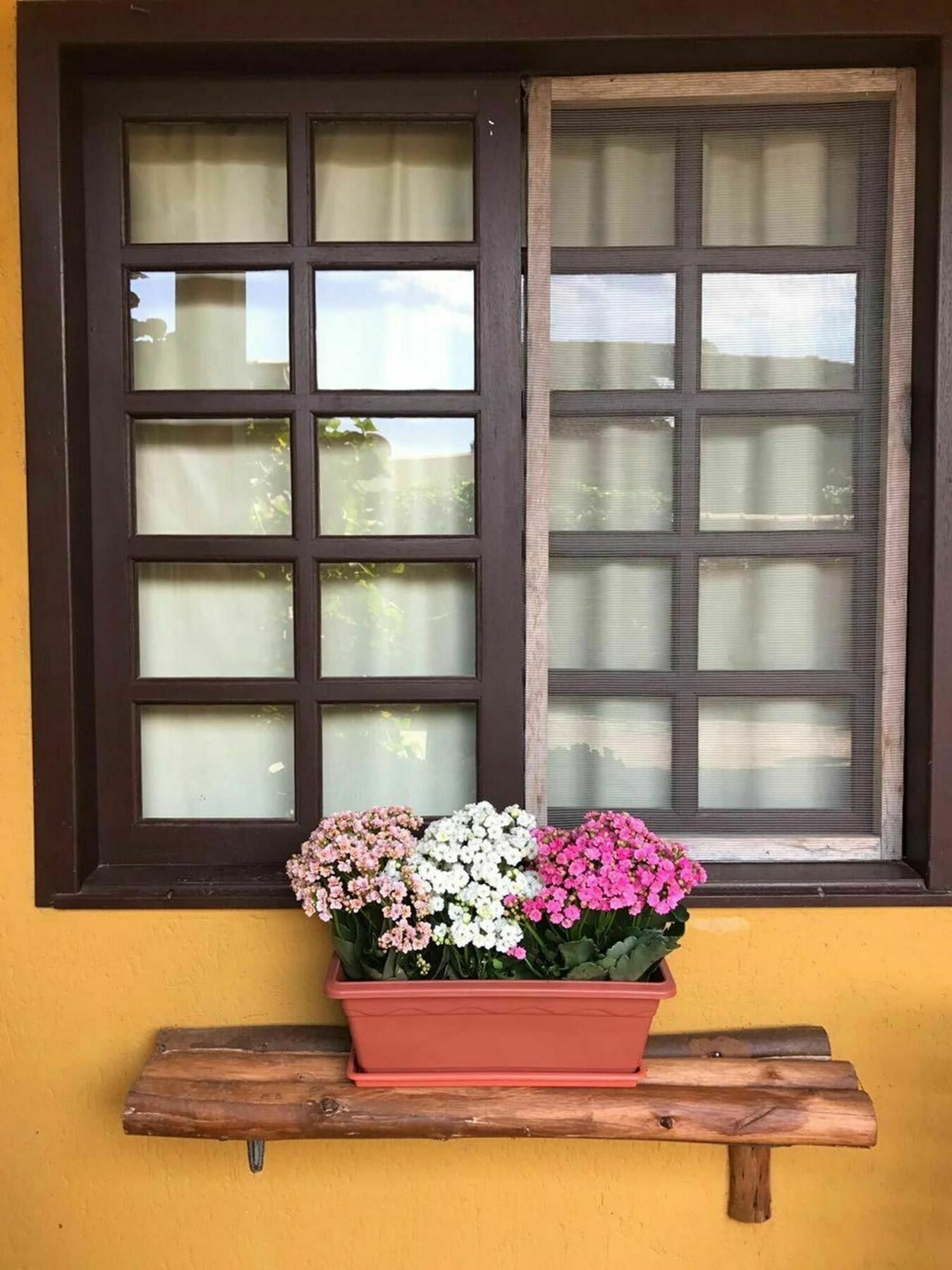 Pousada Habitat Marinho Imbituba  Ngoại thất bức ảnh