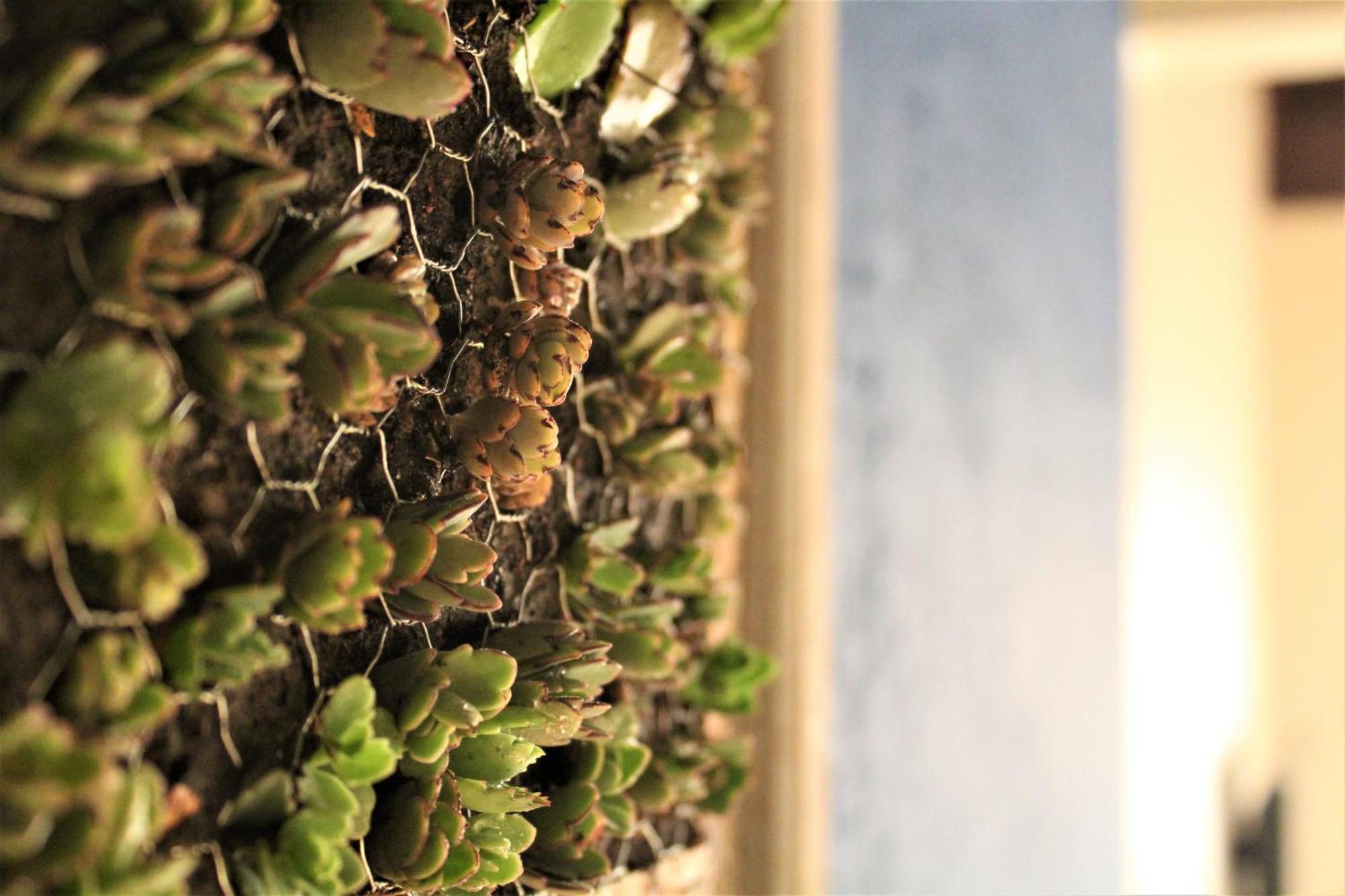 Pousada Habitat Marinho Imbituba  Ngoại thất bức ảnh